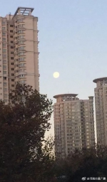郑州限行第二日早上8点能看见明月 这充分说明…… - 河南一百度