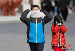 郑州气温破今冬新低!周四最高温将降至0℃,或迎初雪 - 河南一百度