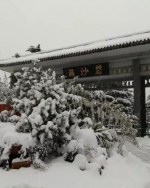 郑州今冬第一场雪火了！居然上了热搜，搞得全国人民都知道了…速来收图！！ - 河南一百度