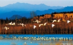 河南省旅游局全面打造冬季旅游产品 - 河南一百度