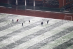 郑州的初雪有多妩媚？我们帮您拍下了这些照片 - 河南一百度