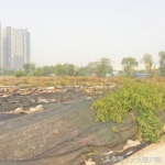 等了十年，郑州这个公园建设方案终于定了！地下不再搞商业开发 - 河南一百度