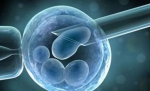 世界上冷冻时间最长的人类胚胎顺利出生 只比分娩母亲小一岁 - 河南频道新闻
