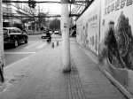 郑州受访盲人朋友：街头盲道“陷阱”多 还不如不走 - 河南一百度