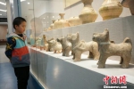 一名男孩被展出的陶狗吸引。这些陶狗出土于河南淅川，是汉代文物。　董飞 摄 - 河南一百度