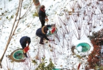 郑州锦绣山河小区内3岁男童坠井 奶奶跳井救人再也没醒来 - 河南一百度