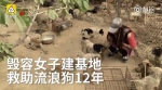 毁容女卖房在郑州救流浪狗:它们是我的孩,我是最富有的穷人 - 河南一百度
