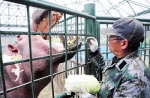 舌尖上的郑州市动物园：『大厨』们每天要喂饱3000多张嘴 - 河南一百度