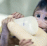 两只克隆猴在中国诞生：世界生命科学重大突破 - 河南频道新闻