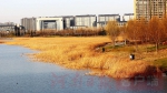 郑州试水集体建设用地建租赁房 首批圈定东区以90平米以下户型为主 - 河南一百度