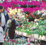 当情人节撞上春节，郑州的玫瑰花都卖到这个价钱了 - 河南一百度