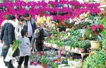 当情人节撞上春节，郑州的玫瑰花都卖到这个价钱了 - 河南一百度