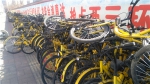 郑州一条路边堆放上千辆"问题"共享单车，咋回事? - 河南一百度