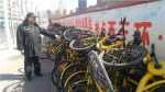 郑州一条路边堆放上千辆"问题"共享单车，咋回事? - 河南一百度