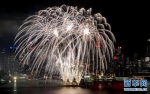 纽约燃放焰火庆祝中国春节 - 河南频道新闻