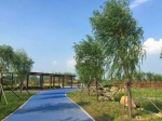 郑州今年新建47个综合性公园！雨水公园、郑州植物园二期、宠物公园、青少年公园将建成…… - 河南一百度