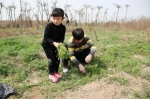三月，是时候尝尝春天的味道了！2018郑州最全挖野菜攻略 - 河南一百度