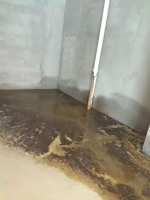 郑州男子为儿子装修的婚房 被便池里涌出来的污水给淹了 - 河南一百度