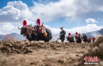 西藏迎来传统春耕仪式 - 河南频道新闻