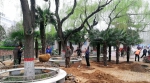 因地铁施工，郑州绿城广场2.2万㎡绿化被迁移，未来会变成啥样? - 河南一百度