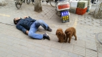 郑州男子喝醉躺街头，自家小狗一直守护：有人靠近就狂叫! - 河南一百度