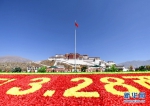西藏隆重纪念百万农奴解放59周年 - 河南频道新闻
