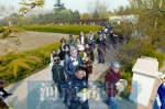 郑州开展集体树葬活动第11年 1000多位逝者回归自然 - 河南一百度