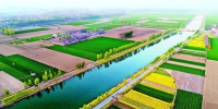 加强水系建设 打造生态宜居新温县 - 人民政府