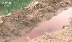 央视调查红水浇地 村民种粮食自己不敢吃都卖给了面粉厂 - 河南频道新闻