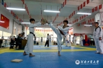 河南省学校跆拳道（郑州地区）段位资格考试在我校举行 - 河南工业大学