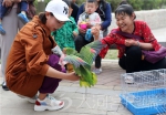 神奇！郑州这只鹦鹉不仅能说会唱，还能辨认纸币！ - 河南一百度