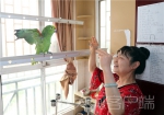 神奇！郑州这只鹦鹉不仅能说会唱，还能辨认纸币！ - 河南一百度