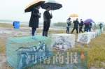 郑州动物园第一次放生动物 130多只夜鹭“乔迁”北龙湖 - 河南一百度