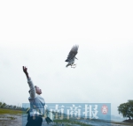 郑州动物园第一次放生动物 130多只夜鹭“乔迁”北龙湖 - 河南一百度