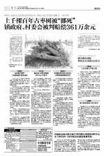新郑古枣树被“挪死”二审开庭 一审判赔361万余元是否合适 - 河南一百度