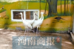 郑州动物园迎来一批“新人” 五一可去动物园大饱眼福 - 河南一百度