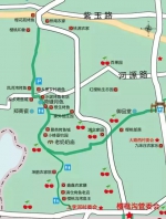 樱桃熟啦!5月郑州周边采摘地点全在这，最快车程40分钟 - 河南一百度