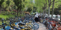 郑州共享单车"过剩"成麻烦 管理部门:只能约谈无力约束 - 河南一百度