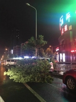 昨晚郑州这场暴雨有多大？给条船就能“浮起来”！不信感受下 - 河南一百度