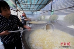 3吨半豆腐打造出巨型“二十四节气”图 - 河南频道新闻