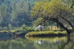 郑州周边这些地方植被茂盛 盛夏已至美成一幅画 - 河南一百度