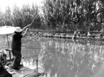 公安部回复称豪赌钓鱼是新型犯罪 郑州涉事比赛最终取消 - 河南一百度