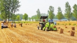 按照国家统一部署 河南今年将积极恢复大豆生产 - 河南一百度
