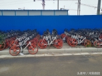 郑州现单车“坟场”上万辆故障车被弃路边 - 河南一百度