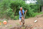 80岁河南老人生病后怕连累家人，在郑州开荒种菜捡垃圾为生！ - 河南一百度