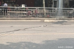 早高峰时线缆落路上，为防触电事故，郑州男子酷暑中托举1小时 - 河南一百度