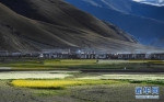西藏风光 - 河南频道新闻