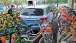 金水区政府约谈4家共享单车企业，哈罗单车或测试电子围栏 - 河南一百度