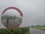 “摩羯”倒车、“温比亚”登陆，郑州接下来几天都是雨 ，你信不? - 河南一百度