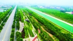 创建国家生态园林城市郑州要发力了 明年6月底达到标准 - 河南一百度